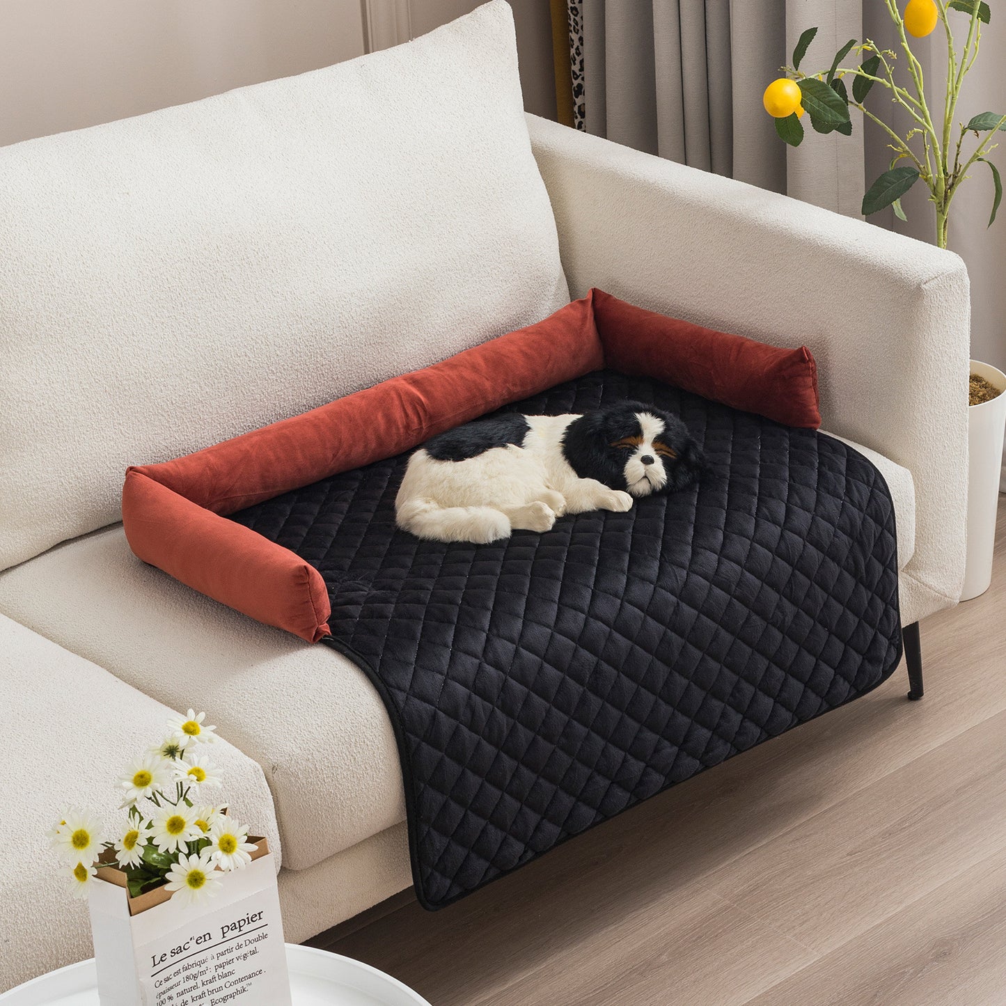 PawCado: Multifunktionale Hundematte (Dog)