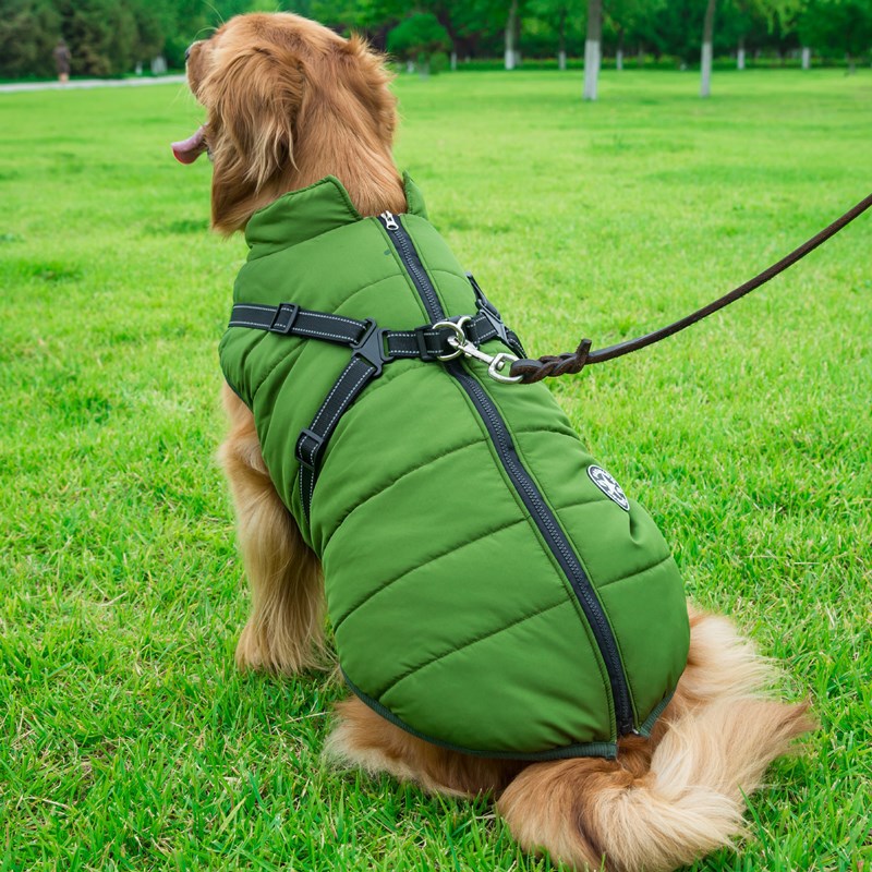 PawCado: Outdoor-Active Hundejacke (Large Dogs)