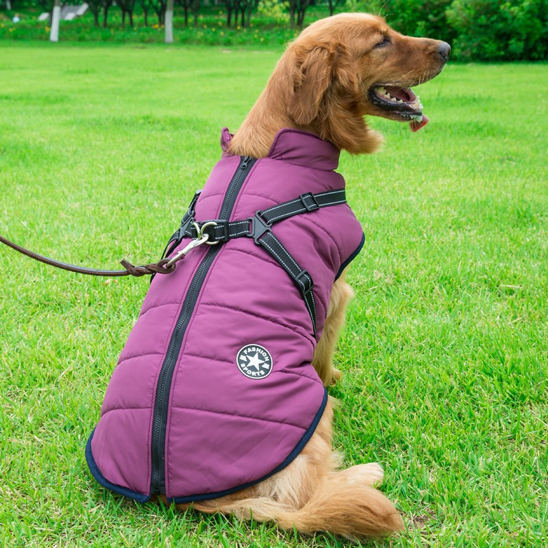 PawCado: Outdoor-Active Hundejacke (Large Dogs)