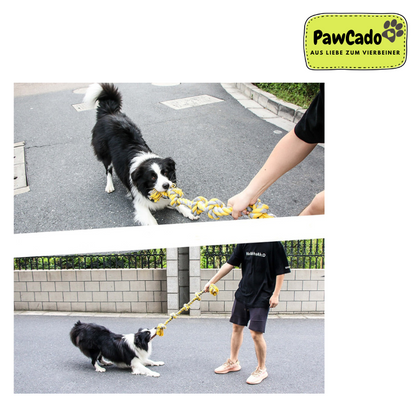 PawCado: Hanse-Knoten (Dog)