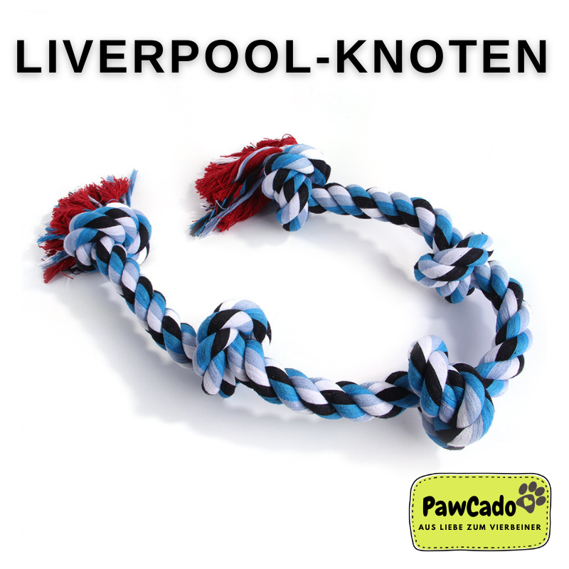 PawCado: Liverpool-Knoten (Dog)