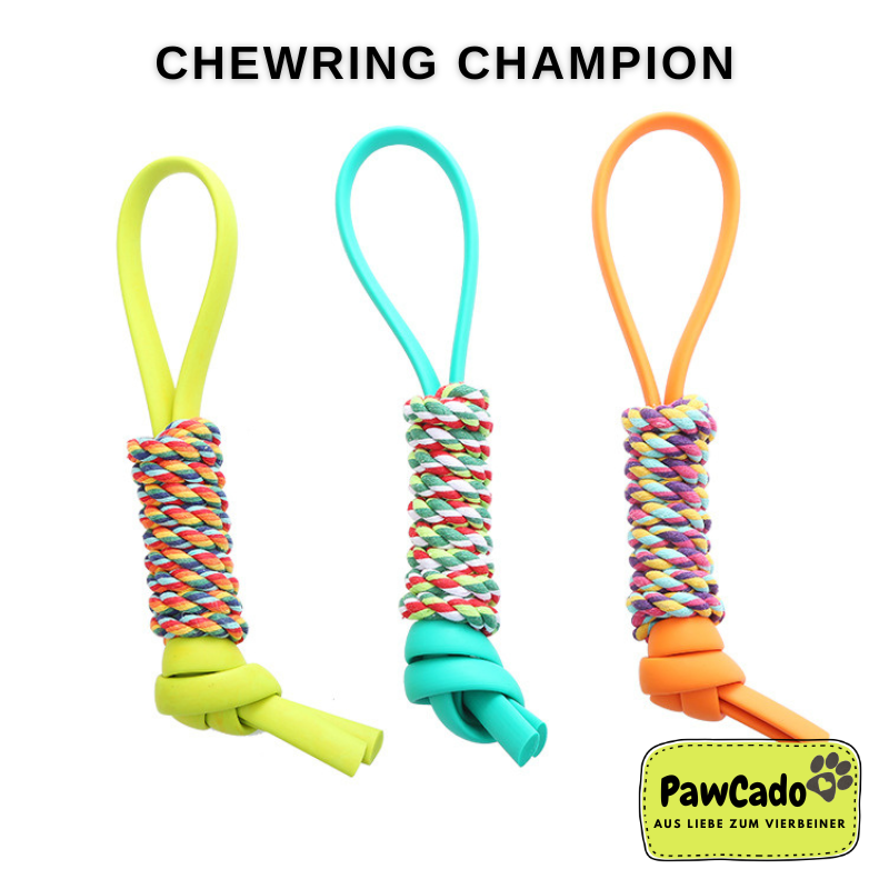 PawCado: Chewring Champion (Dog)