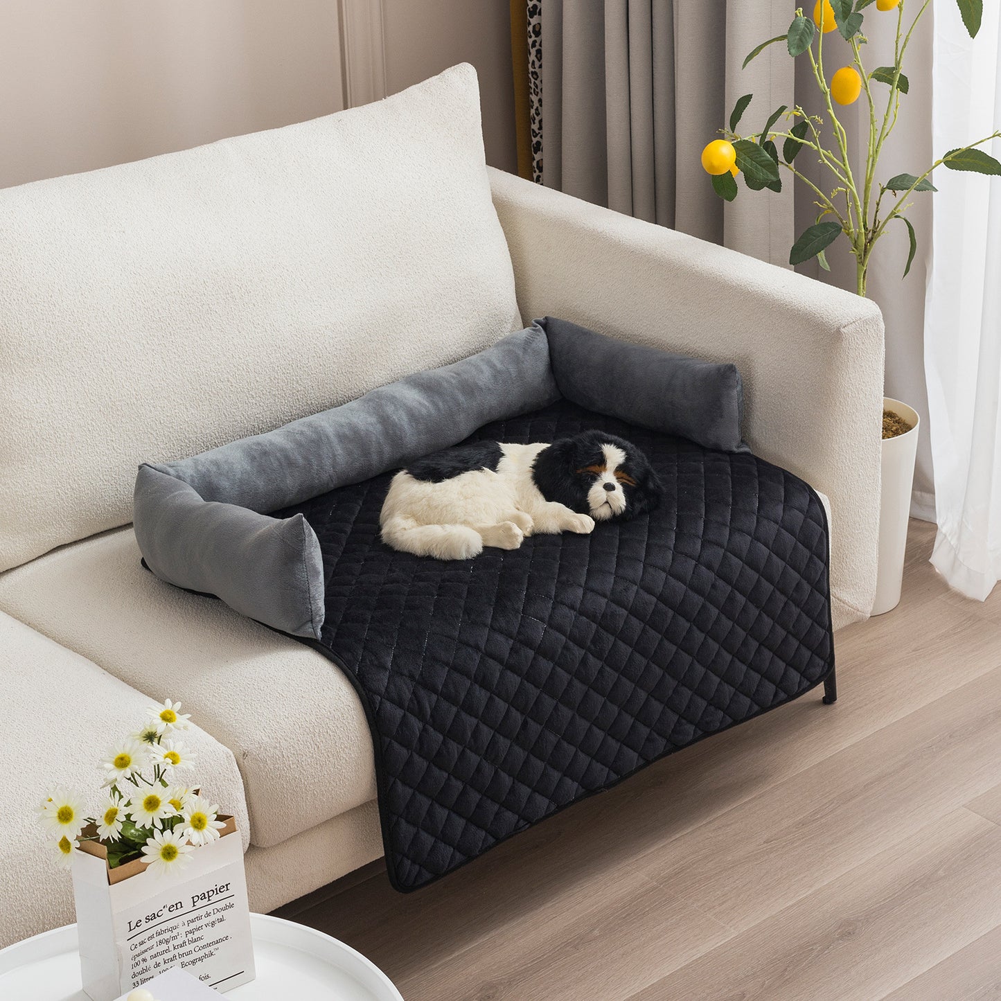 PawCado: Multifunktionale Hundematte (Dog)