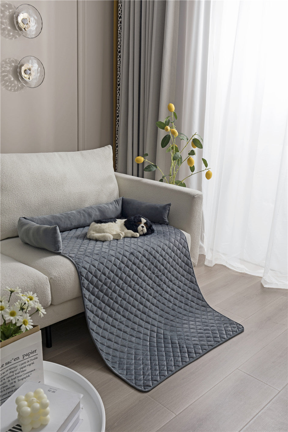 PawCado: Multifunktionale Hundematte (Dog)