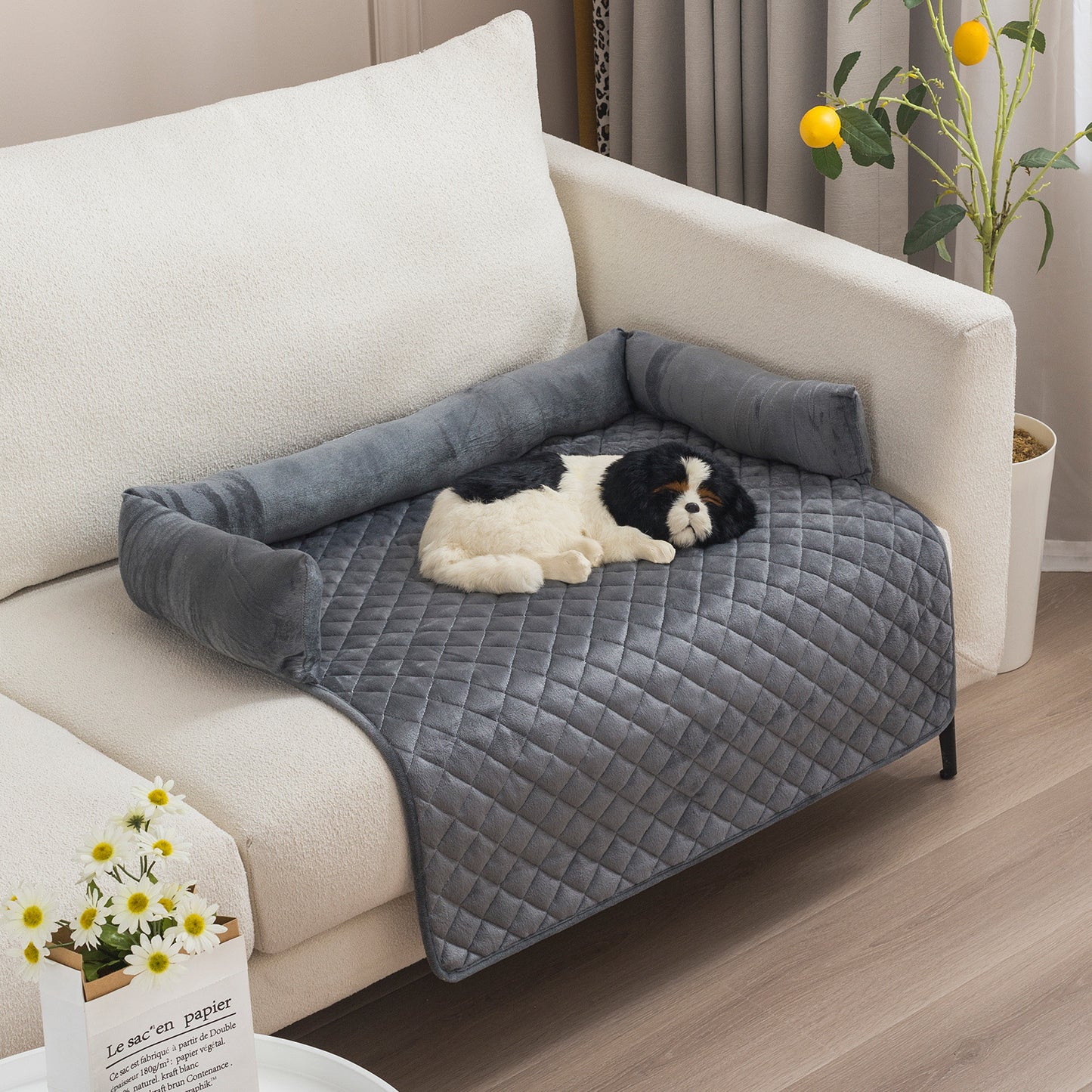 PawCado: Multifunktionale Hundematte (Dog)