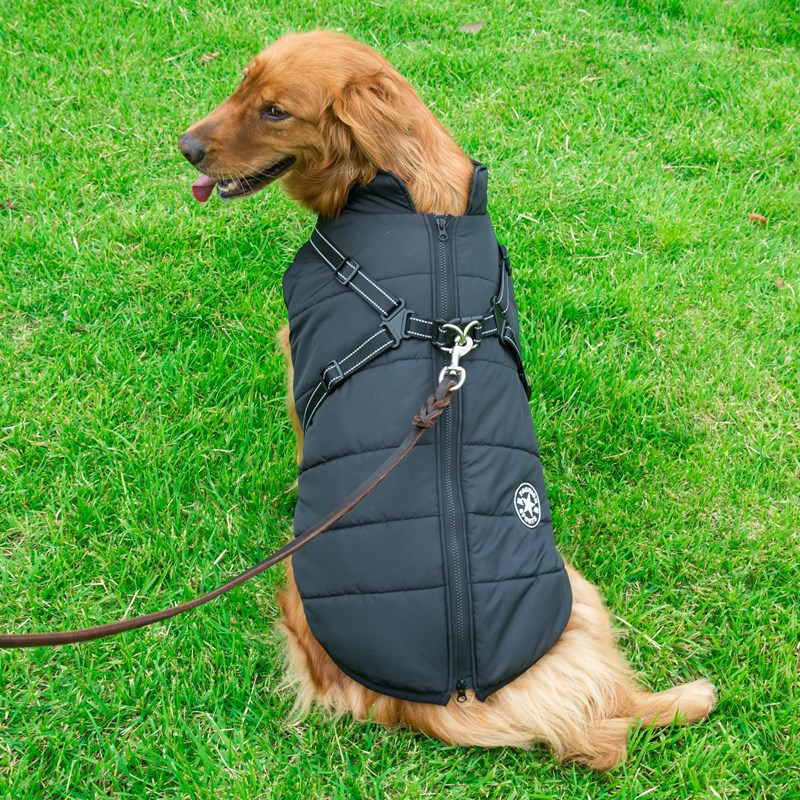 PawCado: Outdoor-Active Hundejacke (Large Dogs)